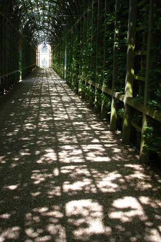 Vine Tunnel, Privy Gardens