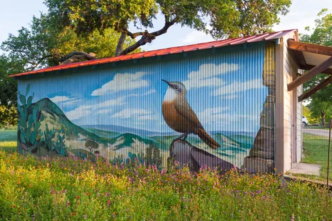 Canyon Wren Mural, Canyon Wren Ranch