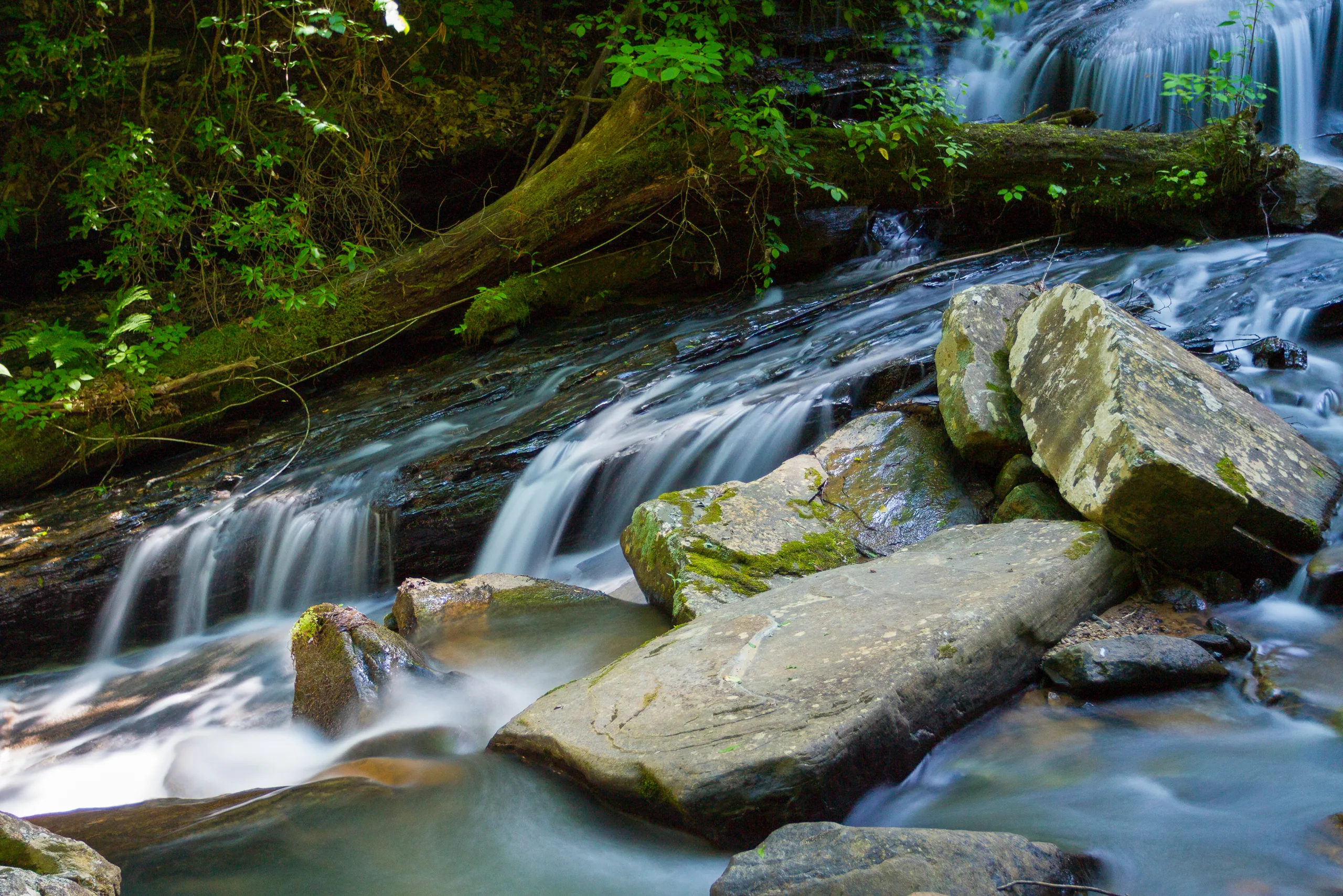 Closeup of Pearson's Falls, North Carolina