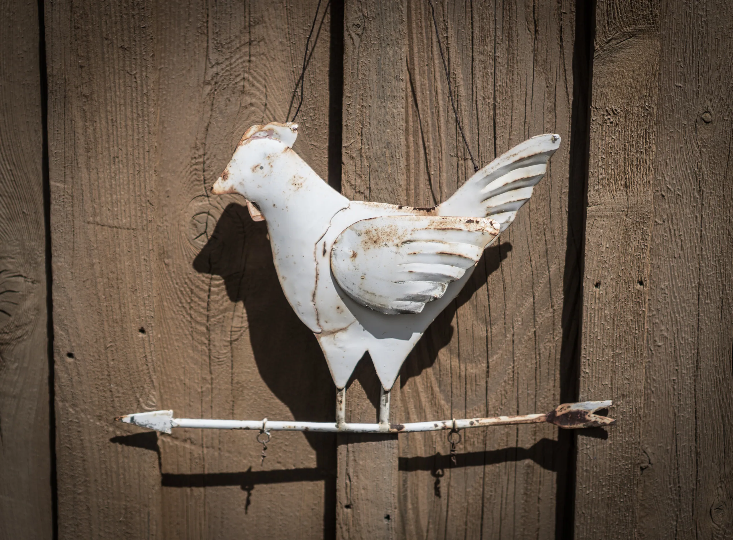 Canyon Wren Ranch - Weather Vane Closeup
