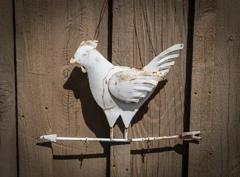 Canyon Wren Ranch - Weather Vane Closeup