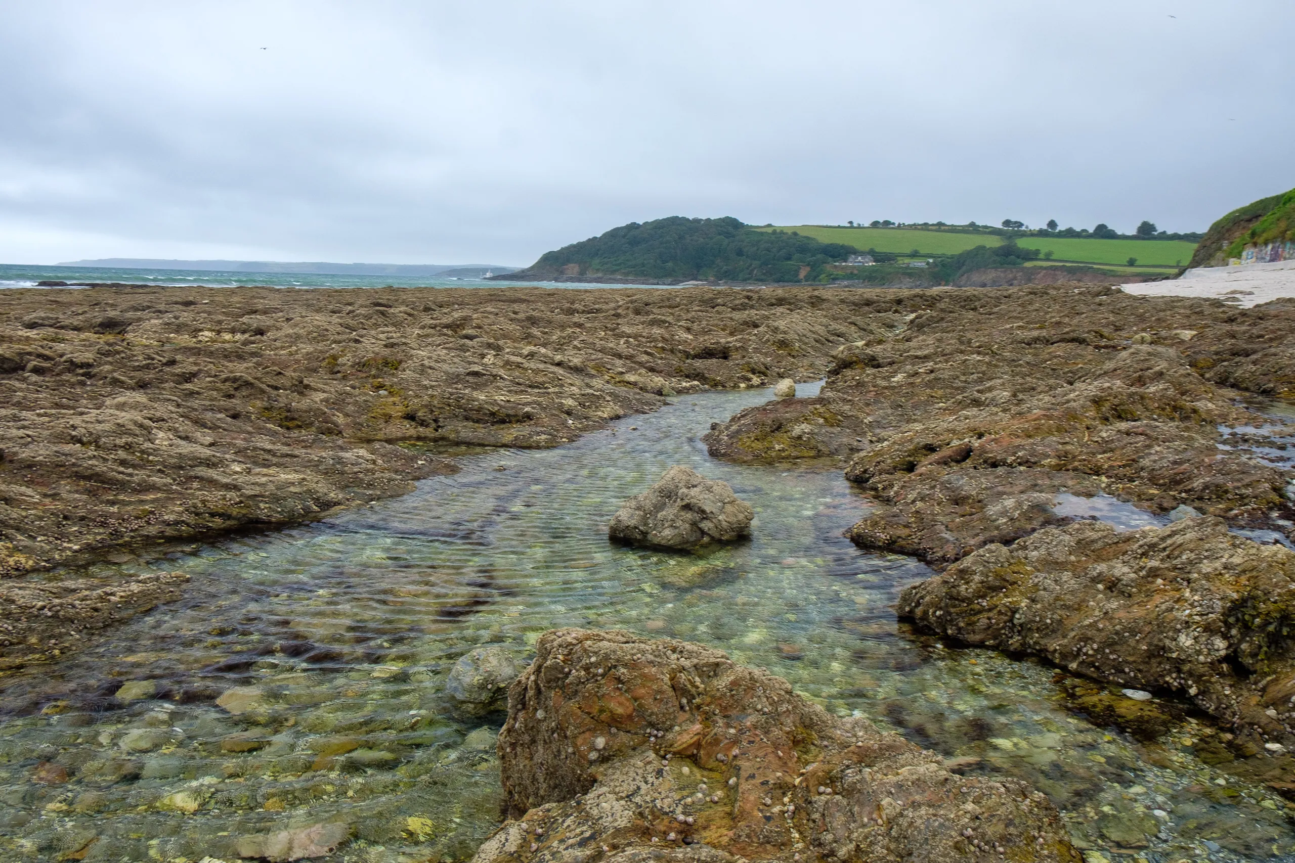 Gyllyngvase Beach Rockpools