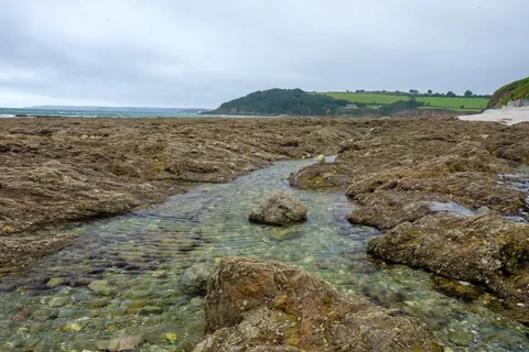 Gyllyngvase Beach Rockpools