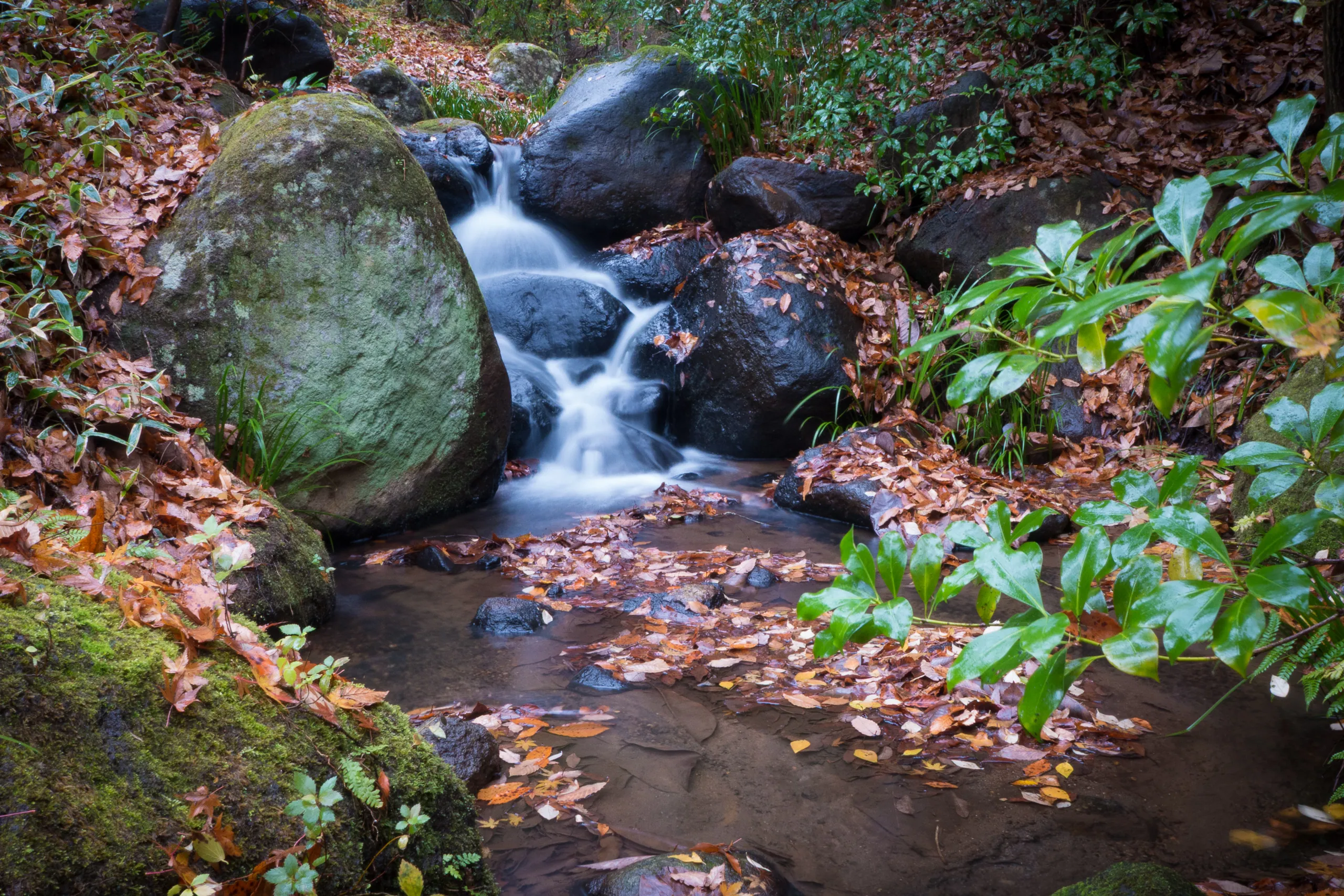 Mini waterfall at Sanga Ryokan, Kurokawa