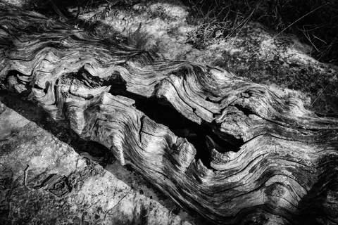 Split log, Rusty Bend Ranch, Comfort, TX