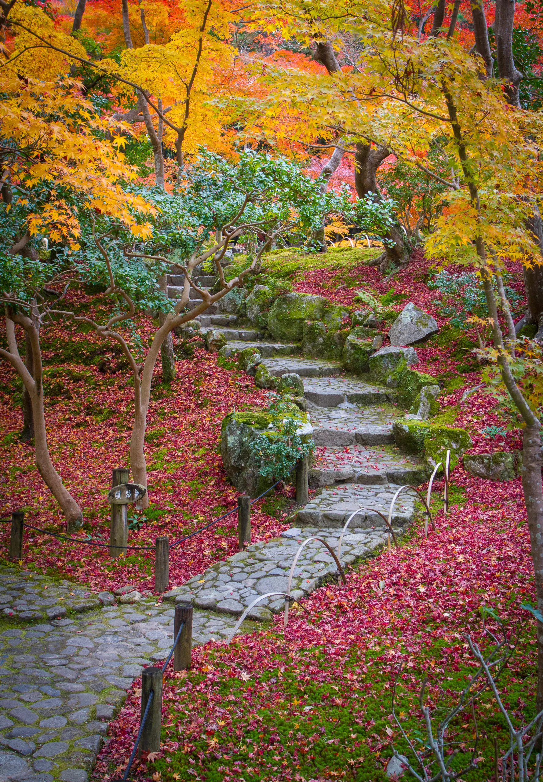Stone Steps, Autumn Colours and Leaf Fall, Yoshikien Garden, Nara Park