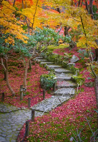 Stone Steps, Autumn Colours and Leaf Fall, Yoshikien Garden, Nara Park