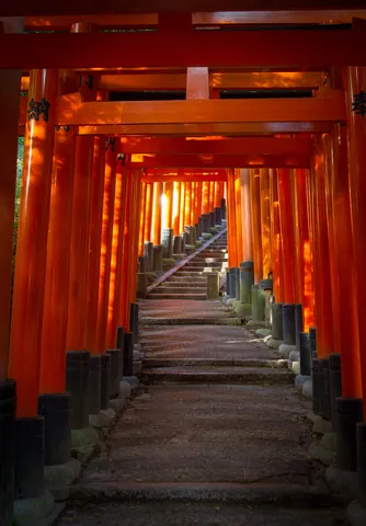 Torii gates, Fushimi Inari Shrine, Kyoto