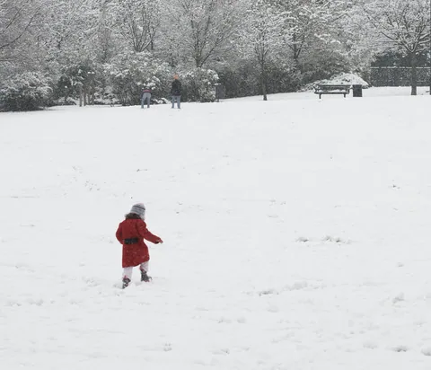Little Arctic Explorer, Paddington Rec