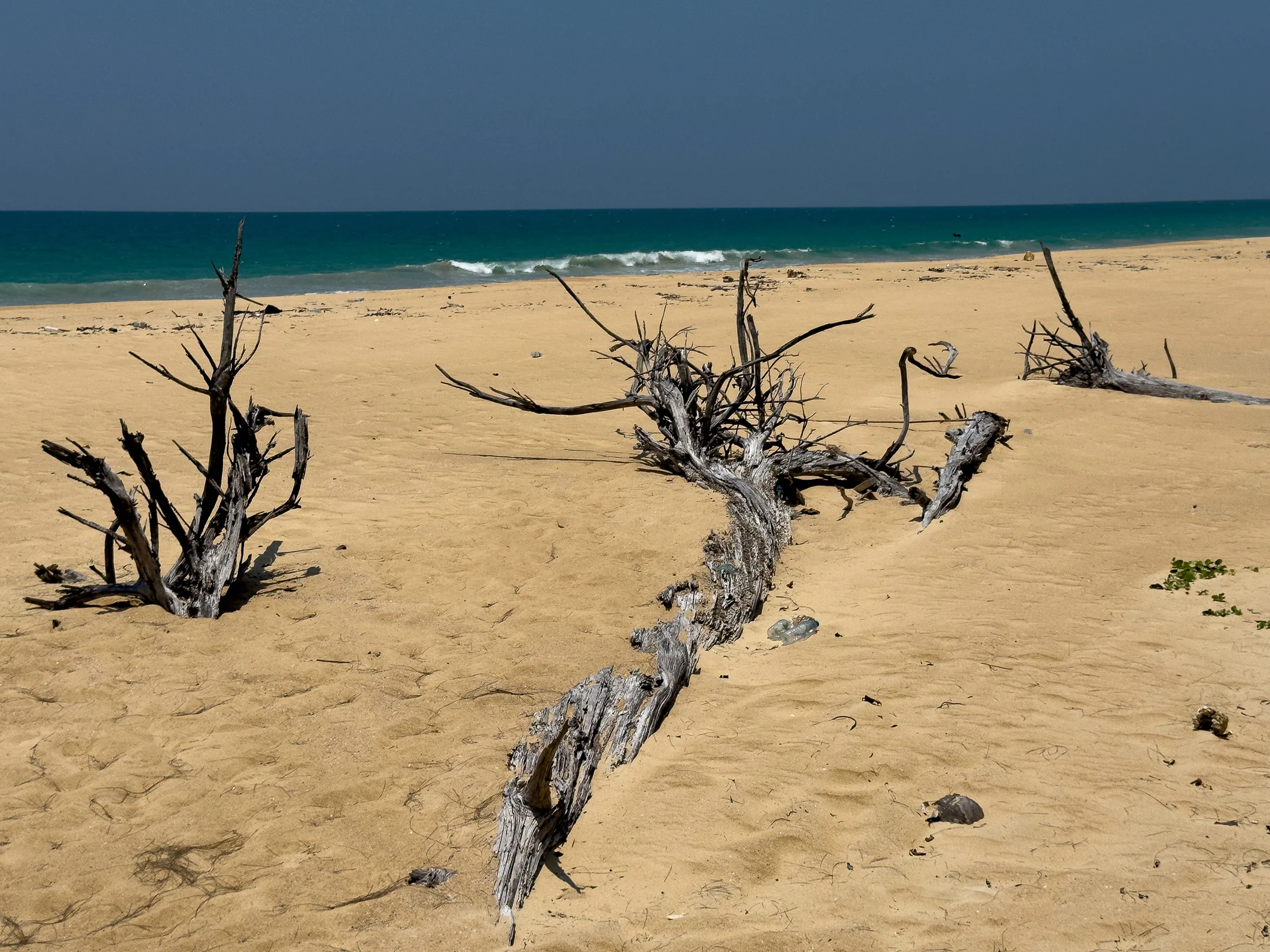 Beach skeletons, Khao Nayak Beach