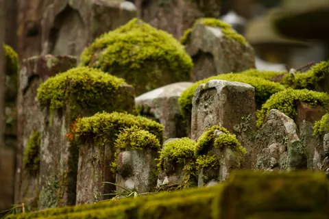 Ancient mossy gravestones, Oku-no-in Cemetery, Koya-san