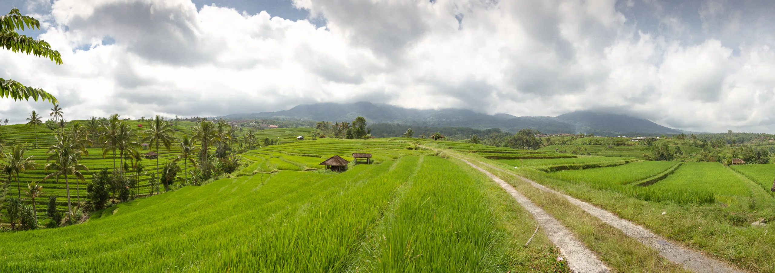 Jatuliwiyah Rice Terraces