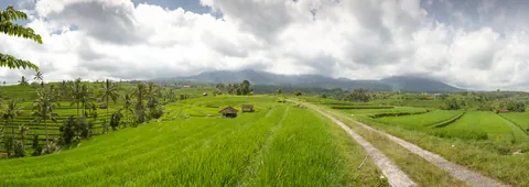 Jatuliwiyah Rice Terraces