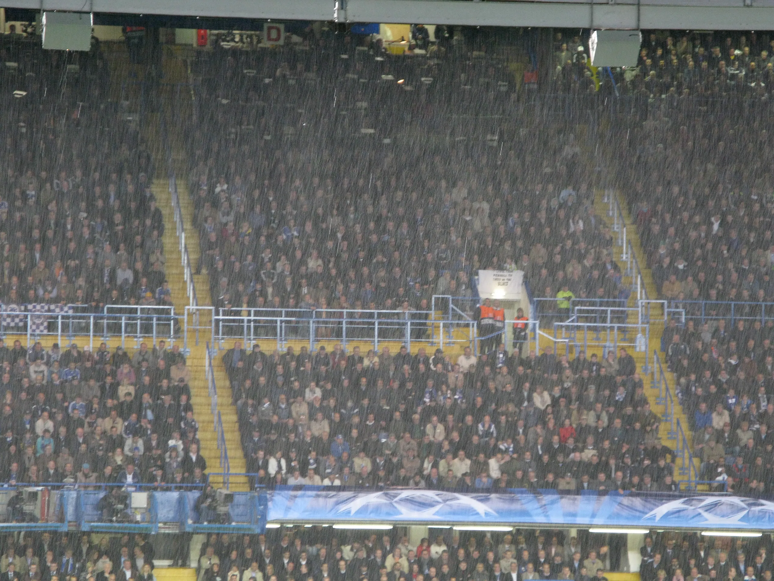The Rain