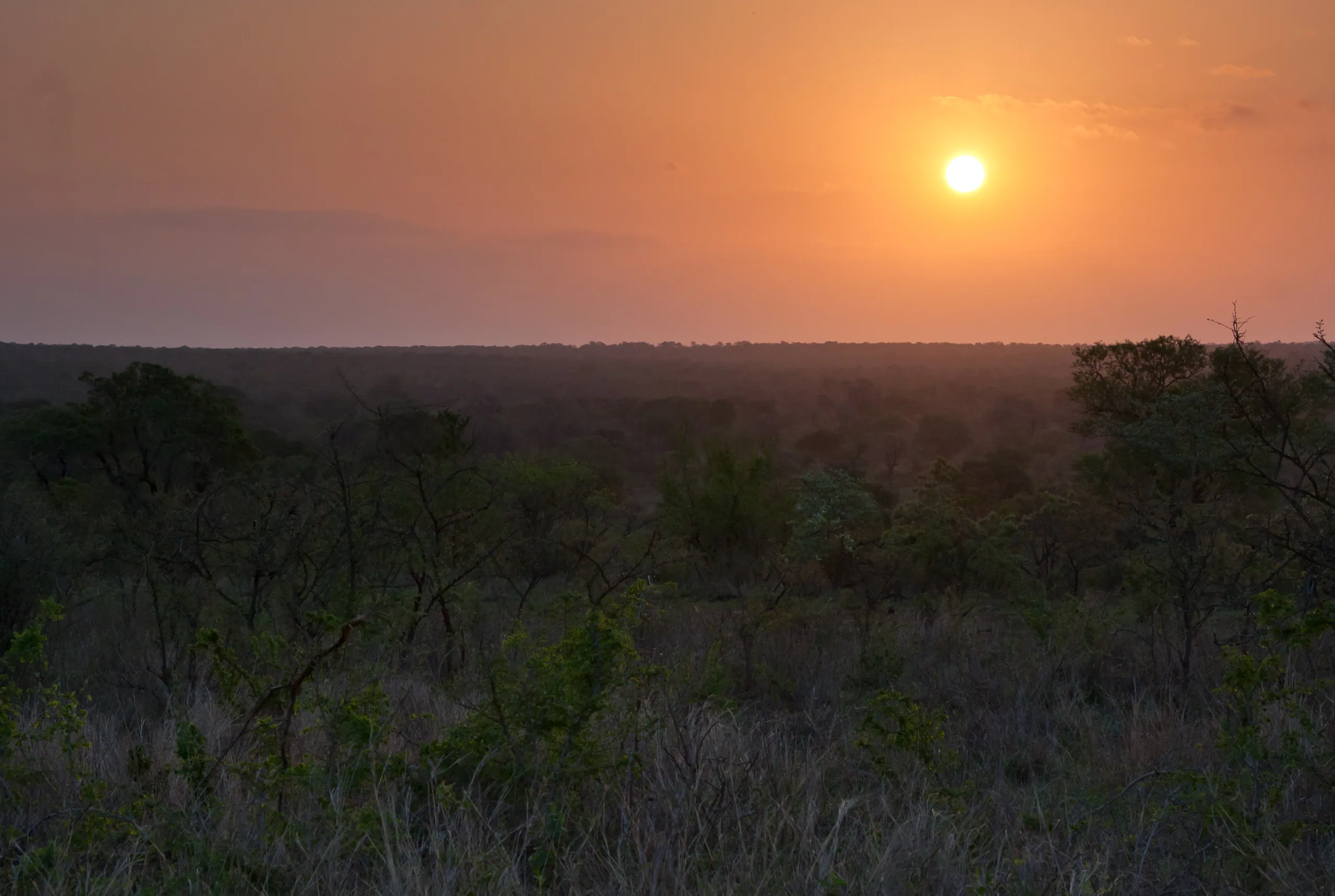 Kruger Park Sunset