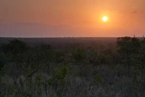 Kruger Park Sunset