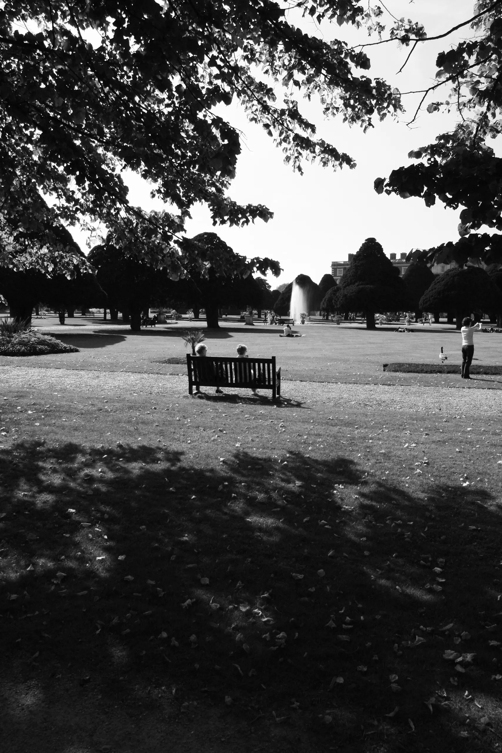 Hampton Court Palace Gardens