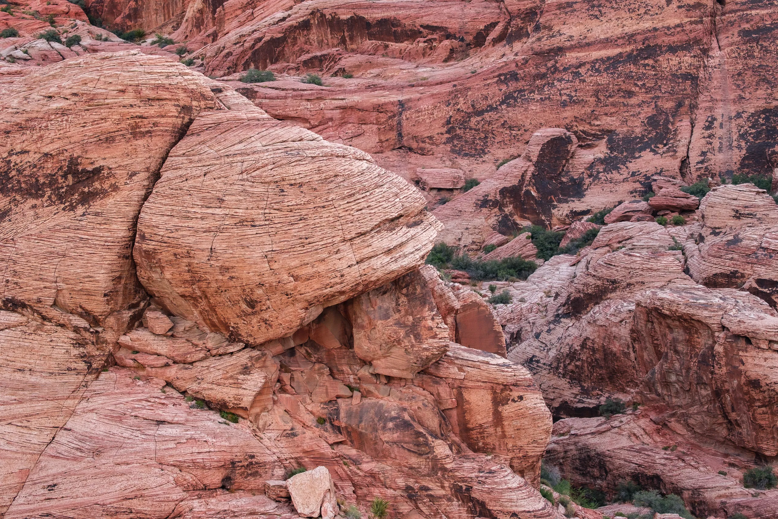 Red Rocks Canyon