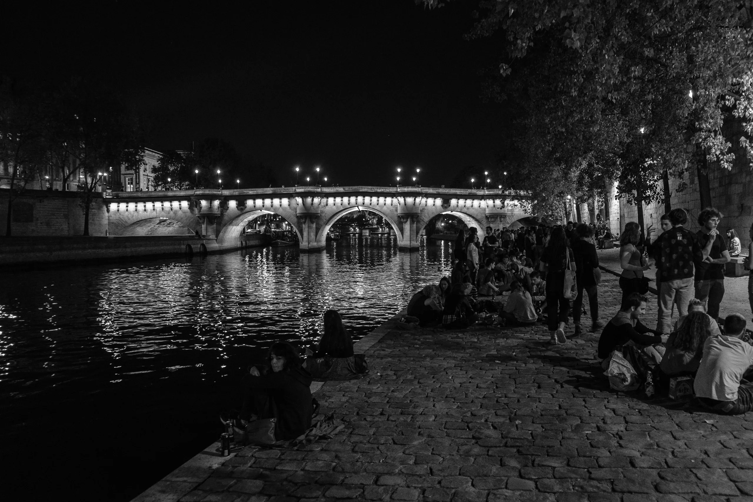 Student Party on the Seine