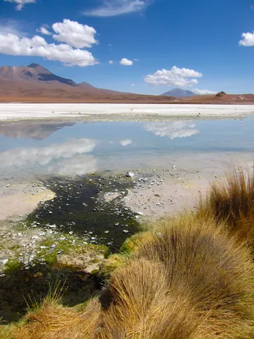 Laguna Cañapa