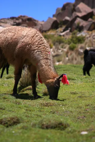 On the way to Uyuni