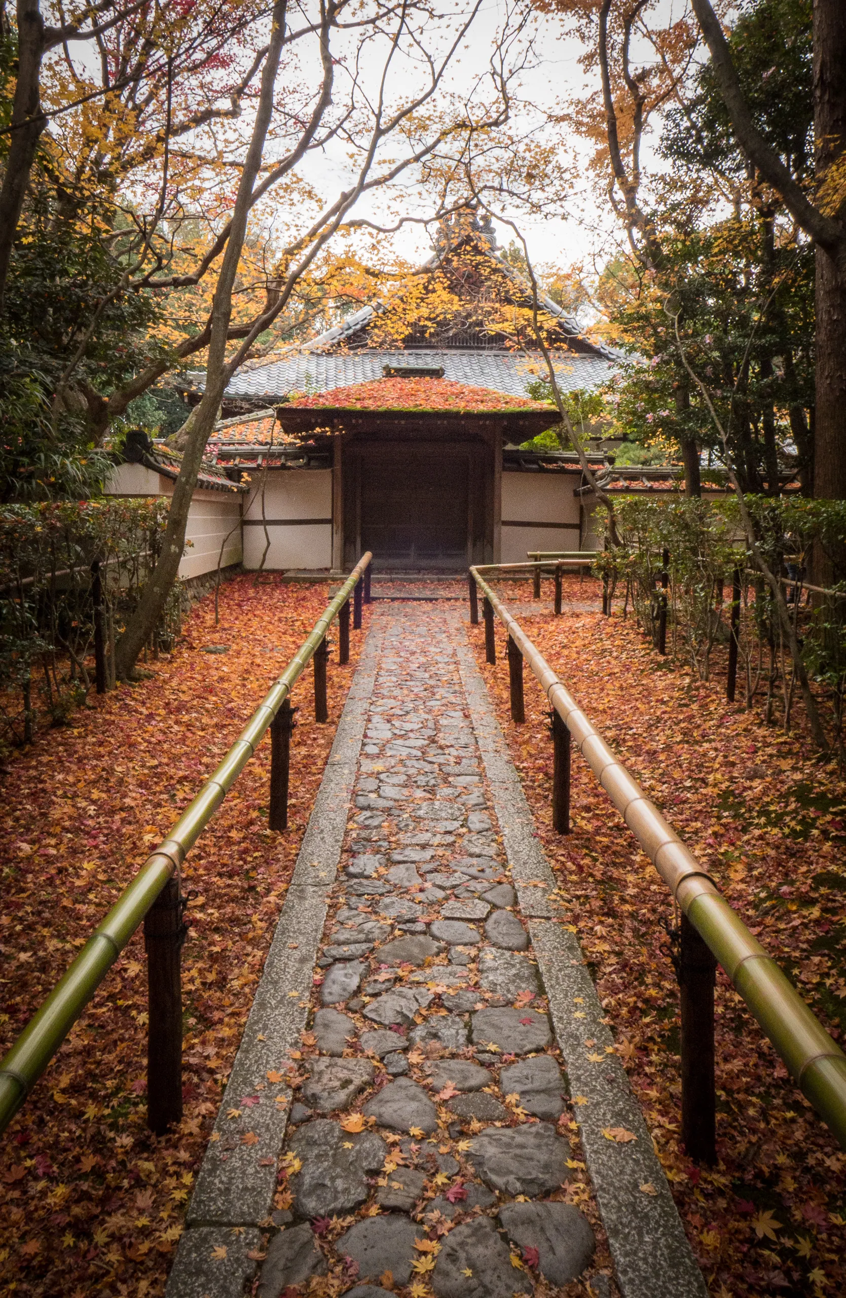 Entrance to the Koto-in Temple, Kyoto