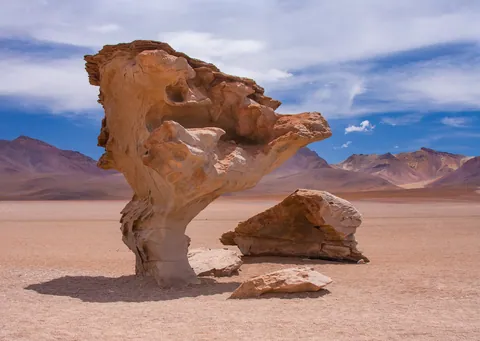 Arbol de Piedra (The Stone Tree)
