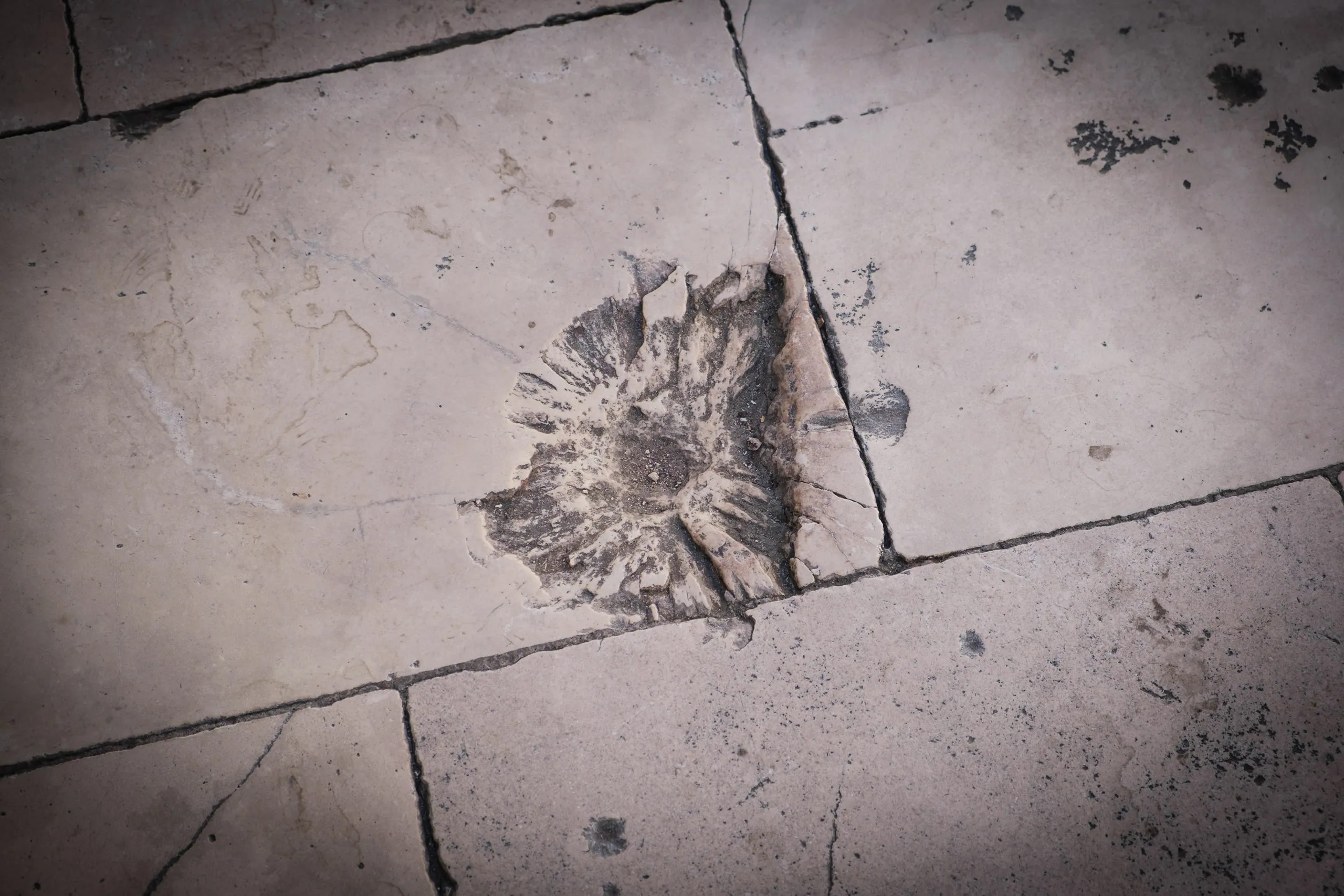 Shell damage from 1991?