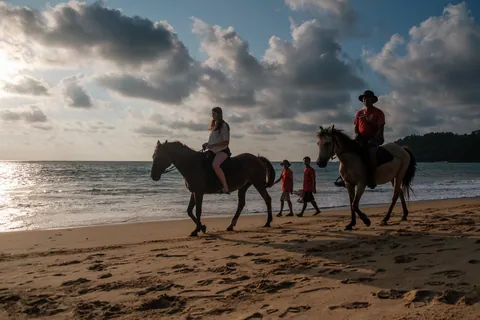 Horses on Merlin Beach at Sunset