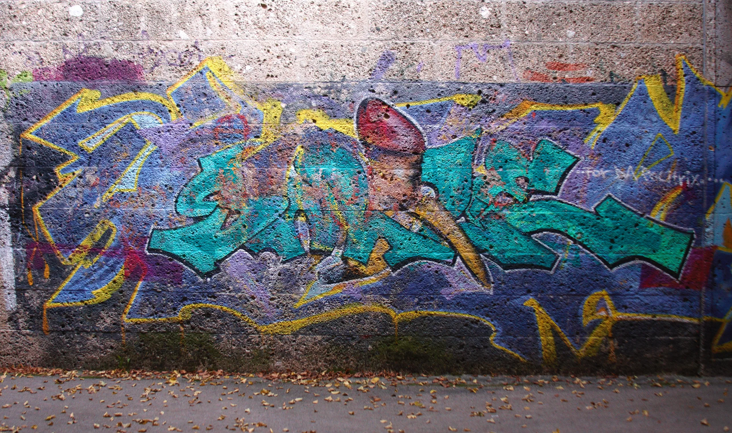 Graffiti in the Englischer Garten