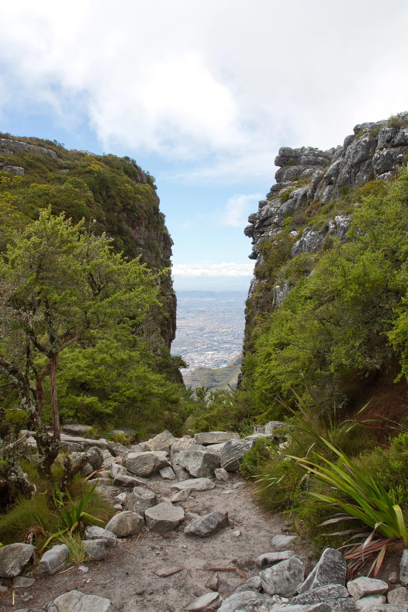 Table Mountain Gorge