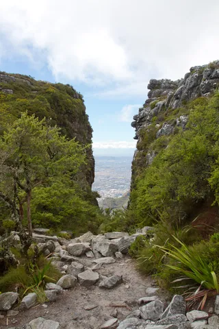 Table Mountain Gorge