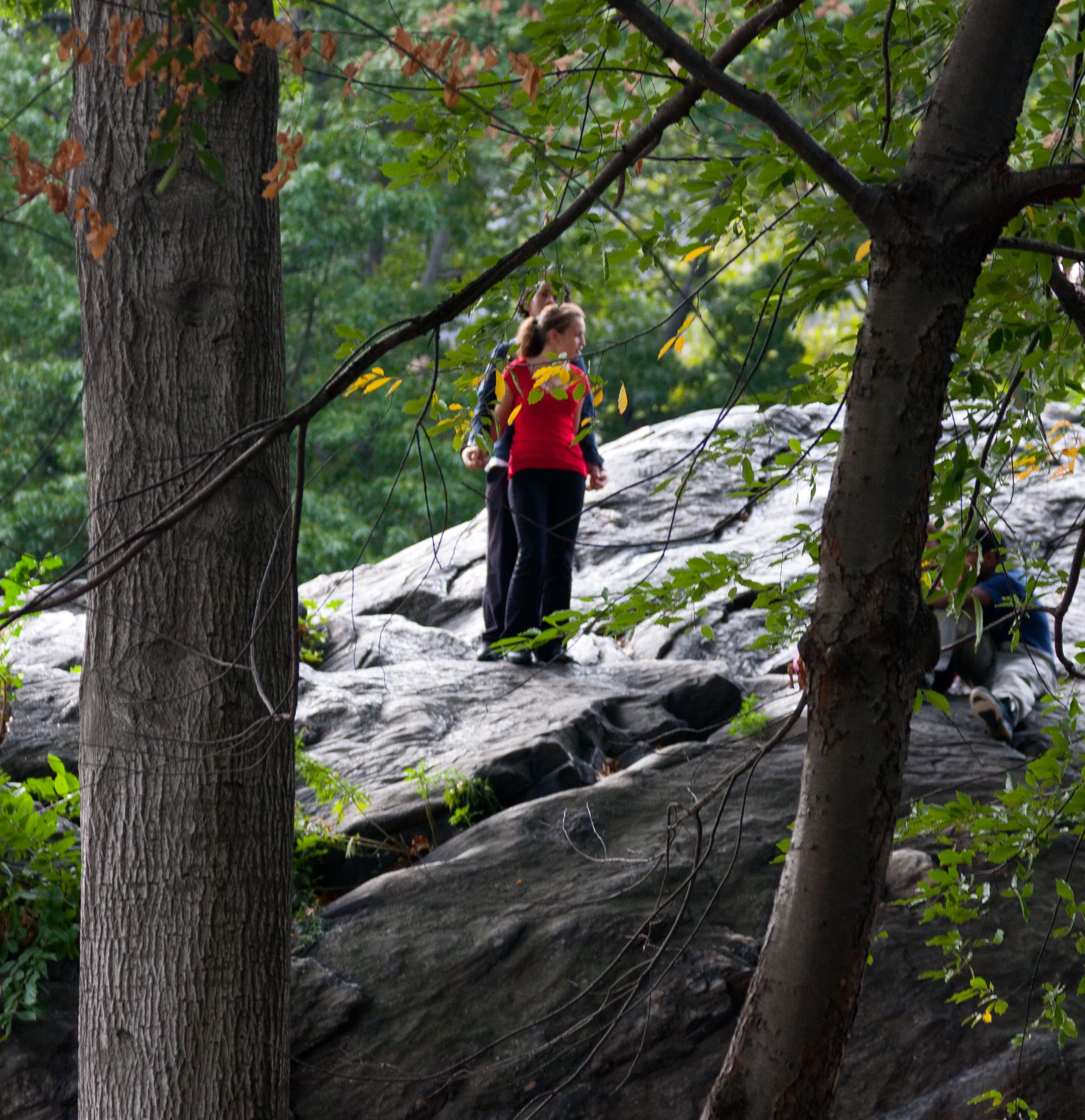 Stealing a moment, Central Park