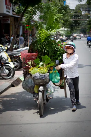 Plant seller, Saigon