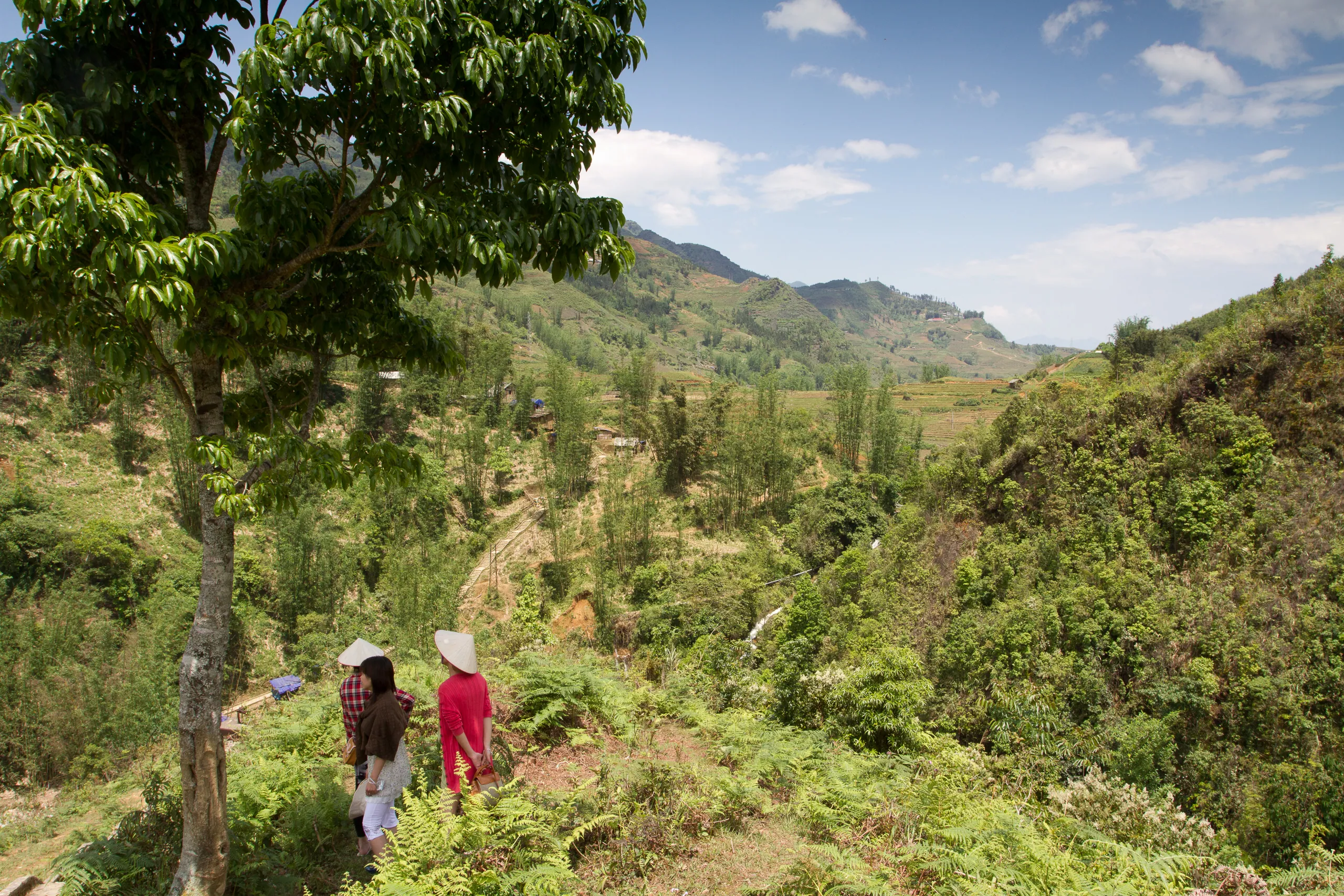 Cat Cat Landscape, Sapa