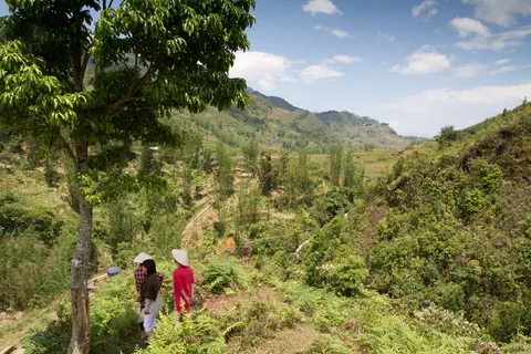 Cat Cat Landscape, Sapa