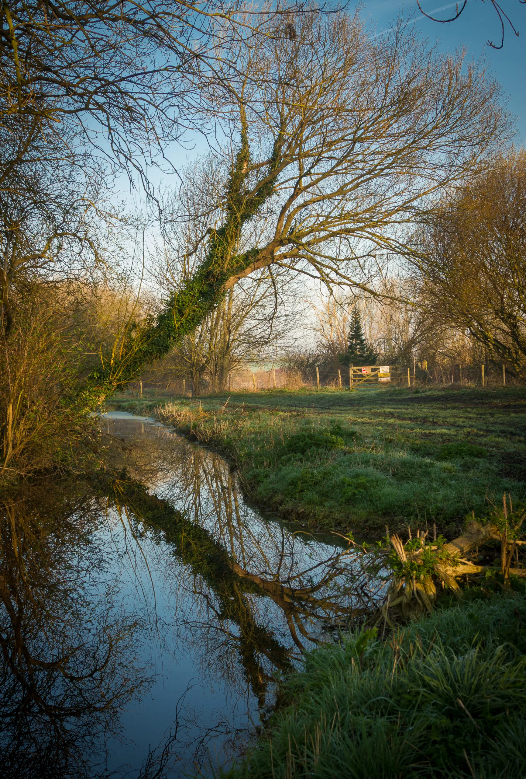 Dawn Reflection, Seaton, Wickhambreaux, Kent
