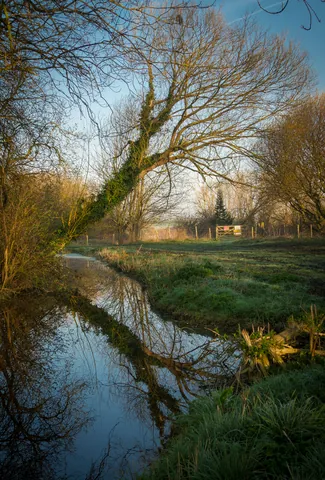 Dawn Reflection, Seaton, Wickhambreaux, Kent