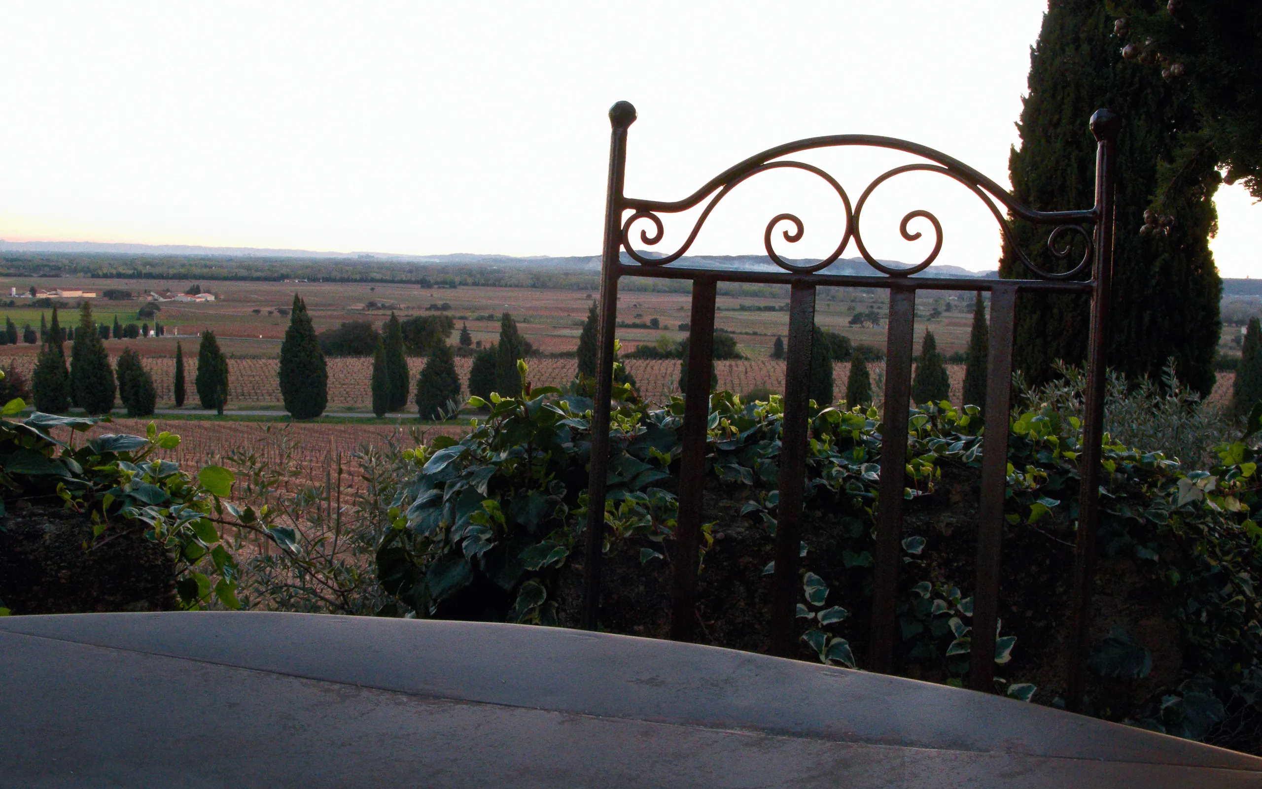 View out over Chateauneuf-du-Pape