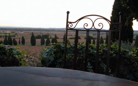 View out over Chateauneuf-du-Pape