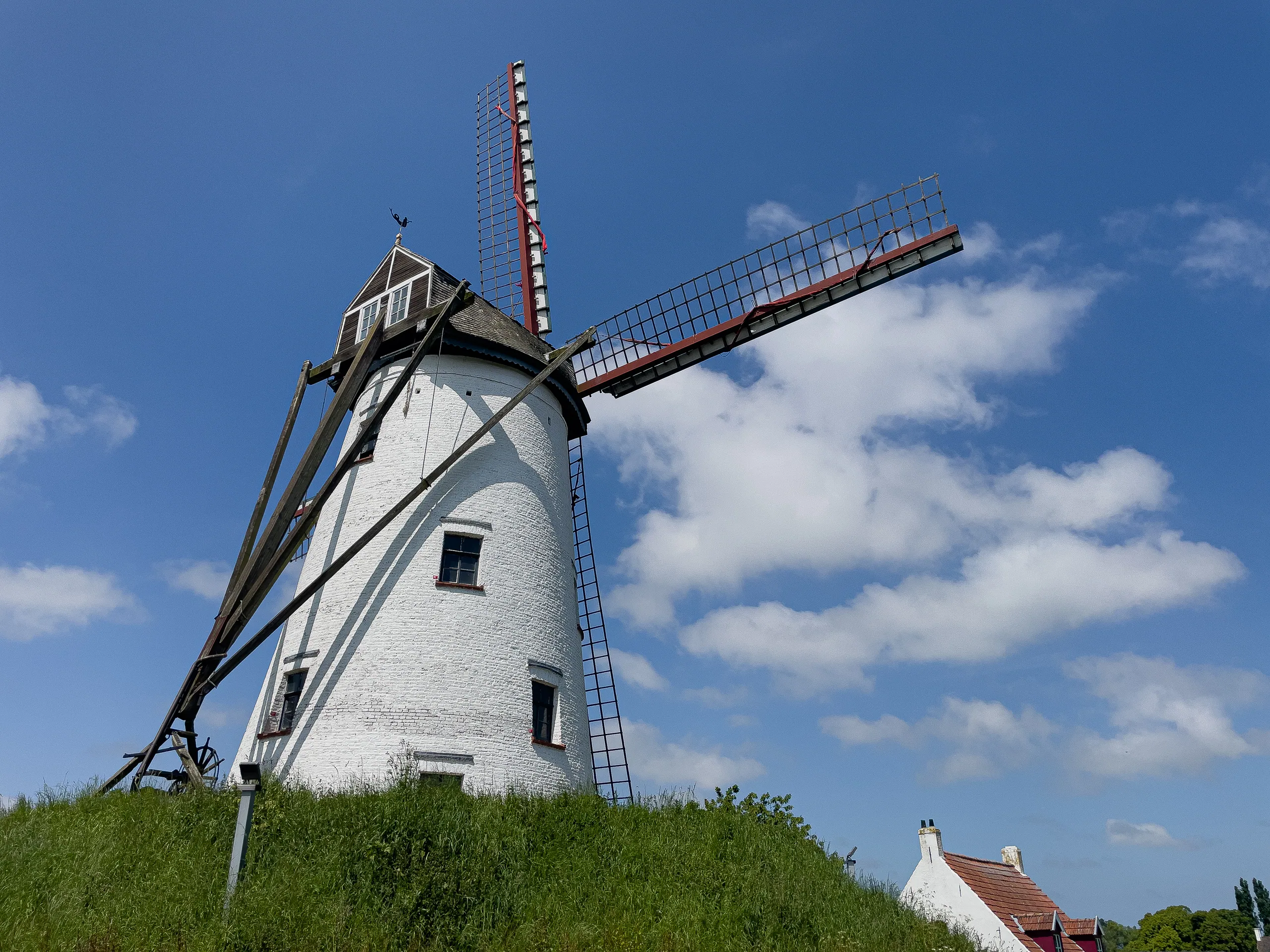 Schellemollen, Damme