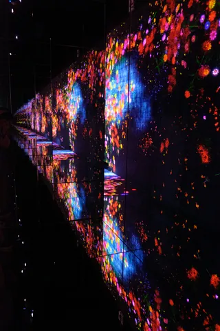 Epson Teamlab Borderless