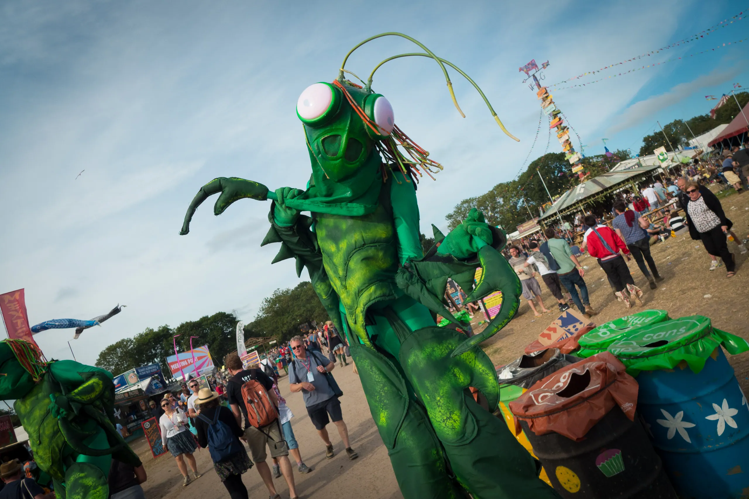 Praying Mantis, William's Green