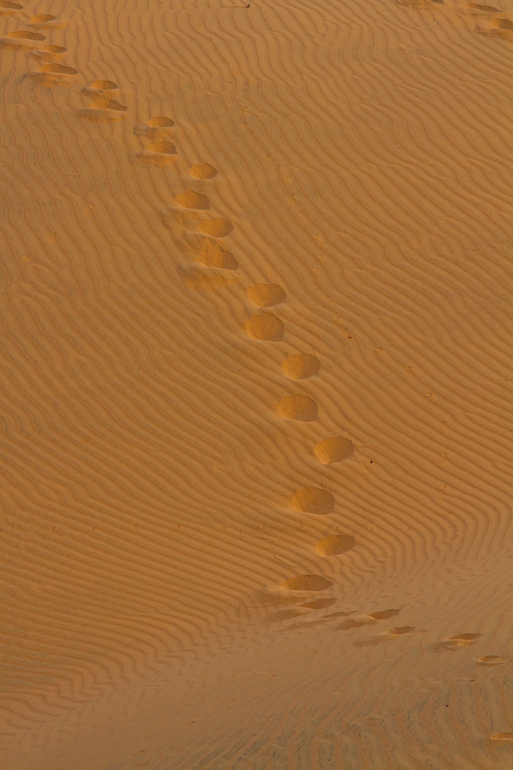Red Sand Dunes, Mui Ne