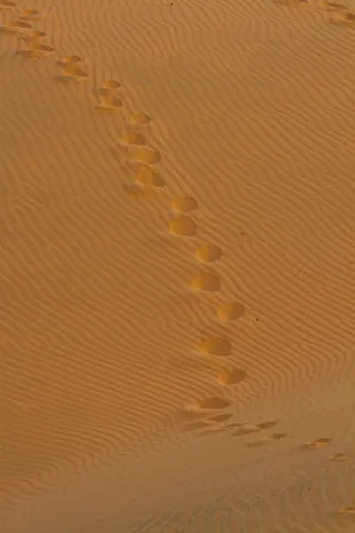 Red Sand Dunes, Mui Ne