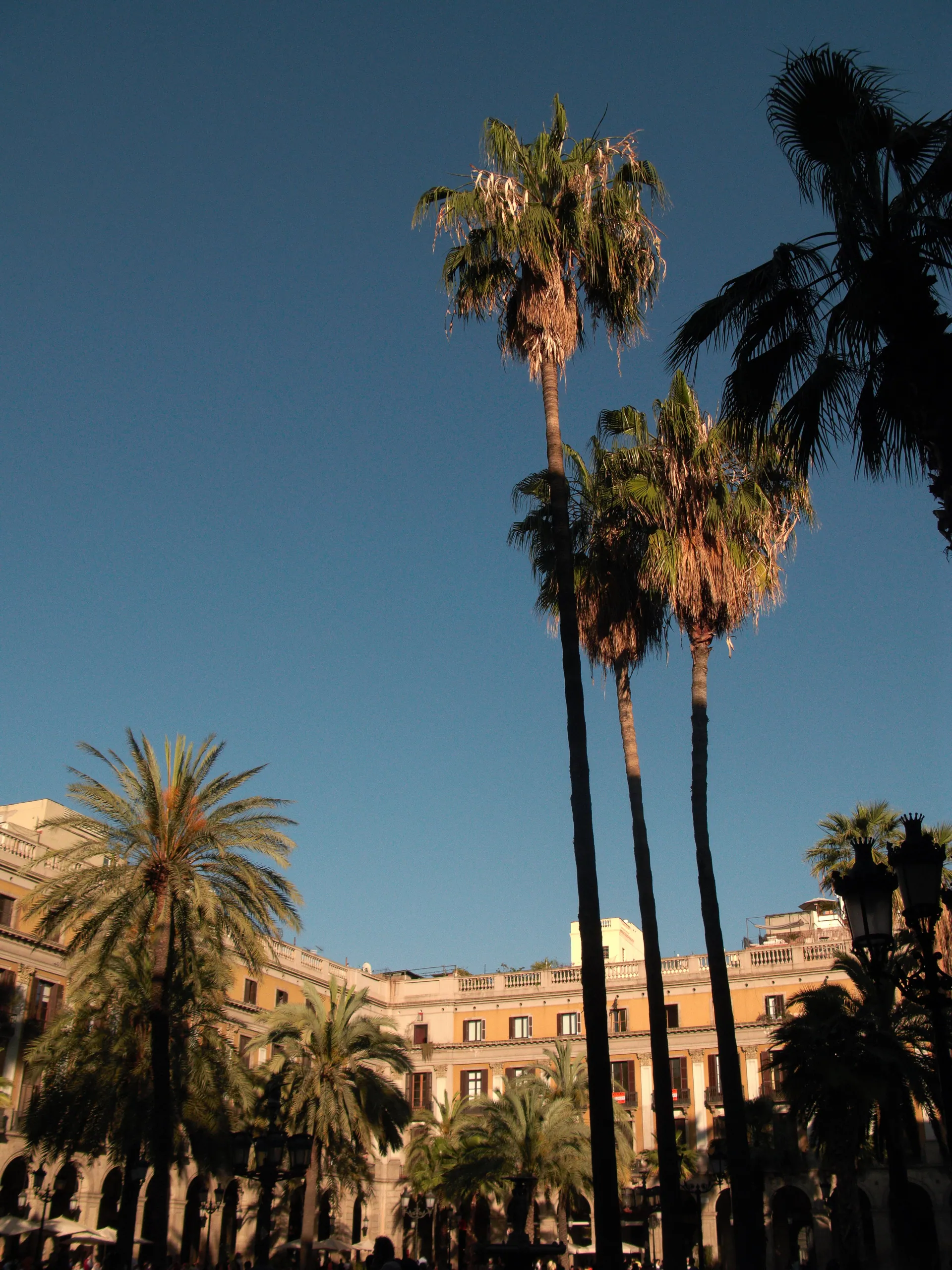 Placa Reial, Late Afternoon