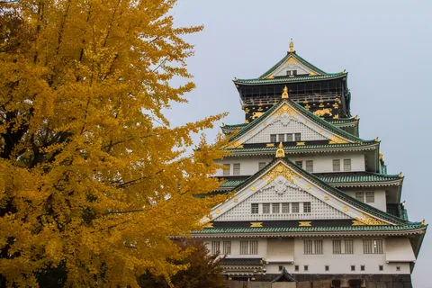Osaka Castle and Autumn Colours