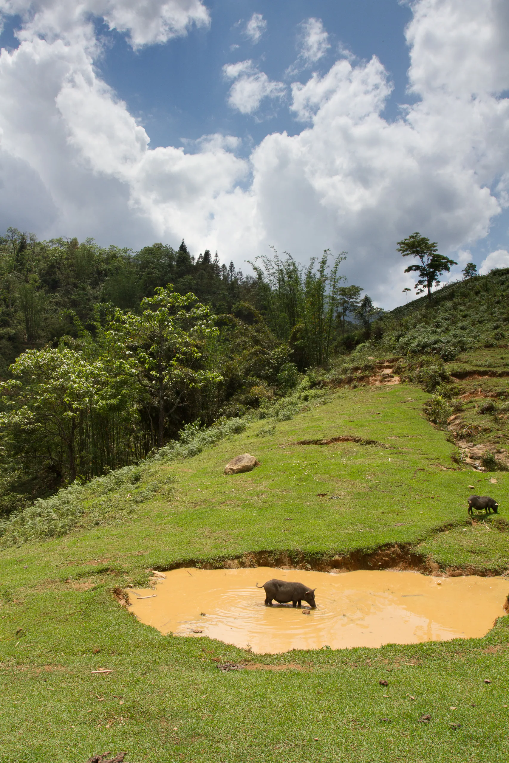 A Midday Wade, Cat Cat, Sapa