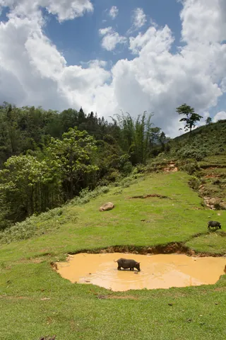 A Midday Wade, Cat Cat, Sapa
