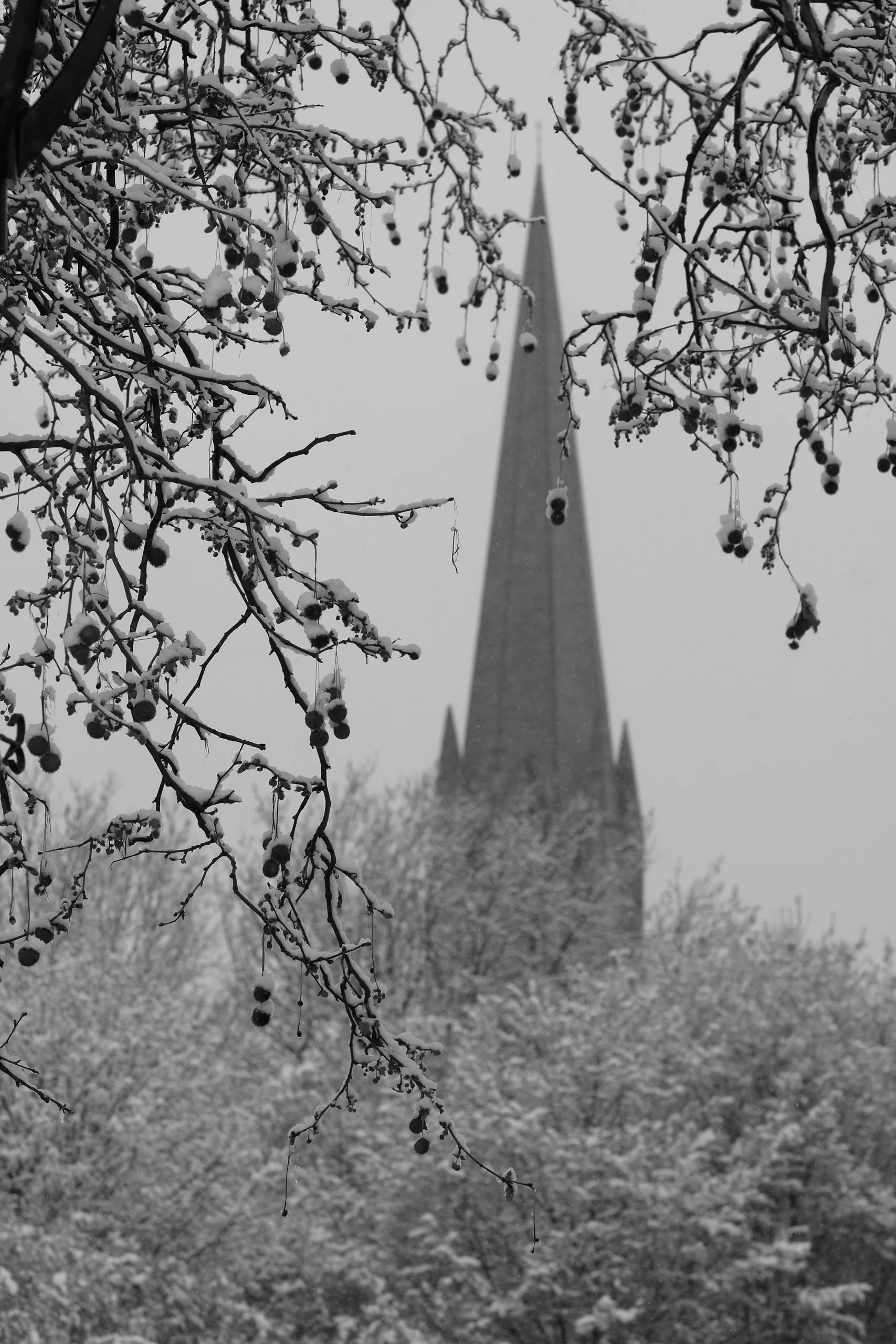 The Church through the Trees